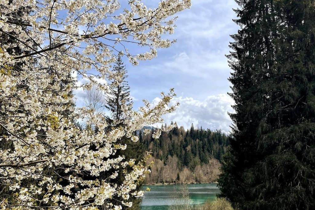 Wohnung Mit Fantastischer Aussicht Trin Esterno foto